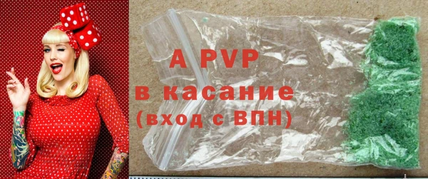 PSILOCYBIN Киреевск