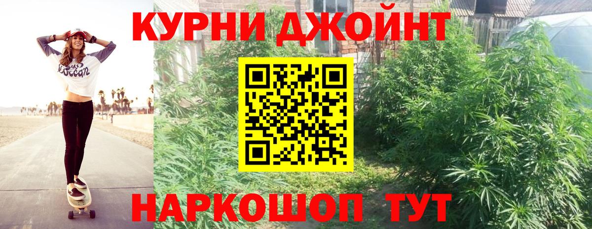 Шишки марихуана планчик  Марихуана тримм  Ноябрьск  Бошки Шишки план  Вход с VPN 